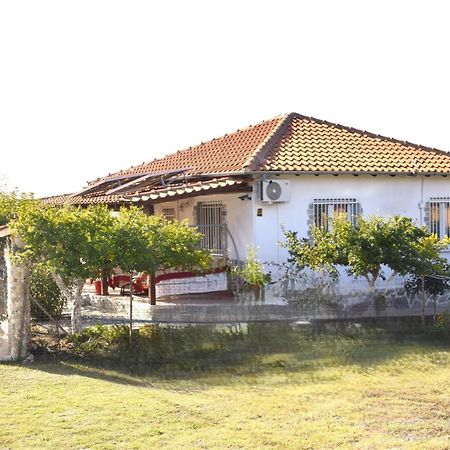 Amarantos Beautiful Garden House Villa Metokhion Patriotikon ภายนอก รูปภาพ