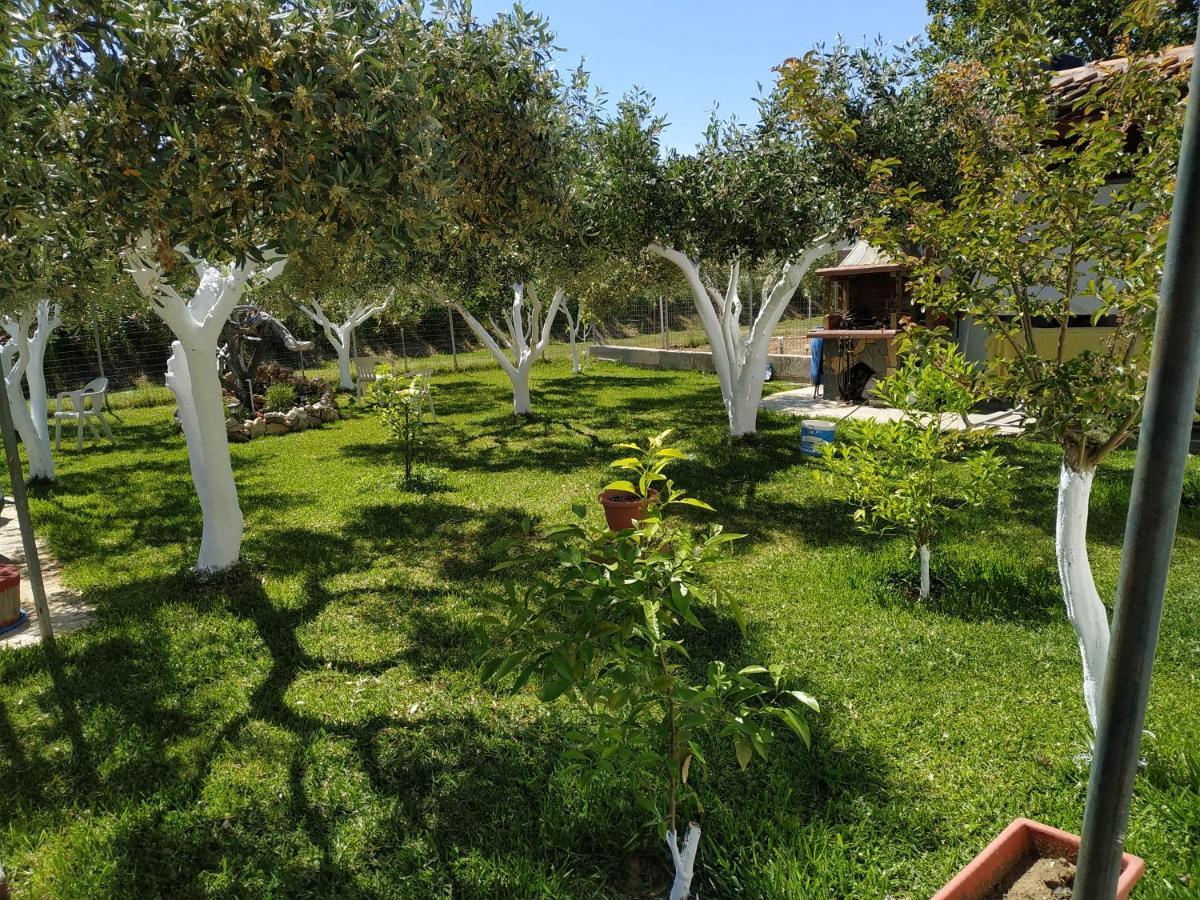 Amarantos Beautiful Garden House Villa Metokhion Patriotikon ภายนอก รูปภาพ
